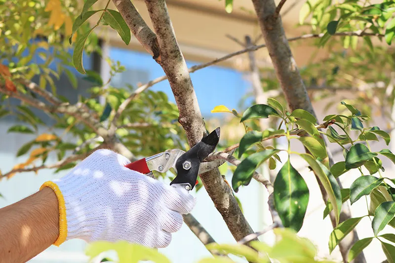 安心できる価格設定でサービスをご提供