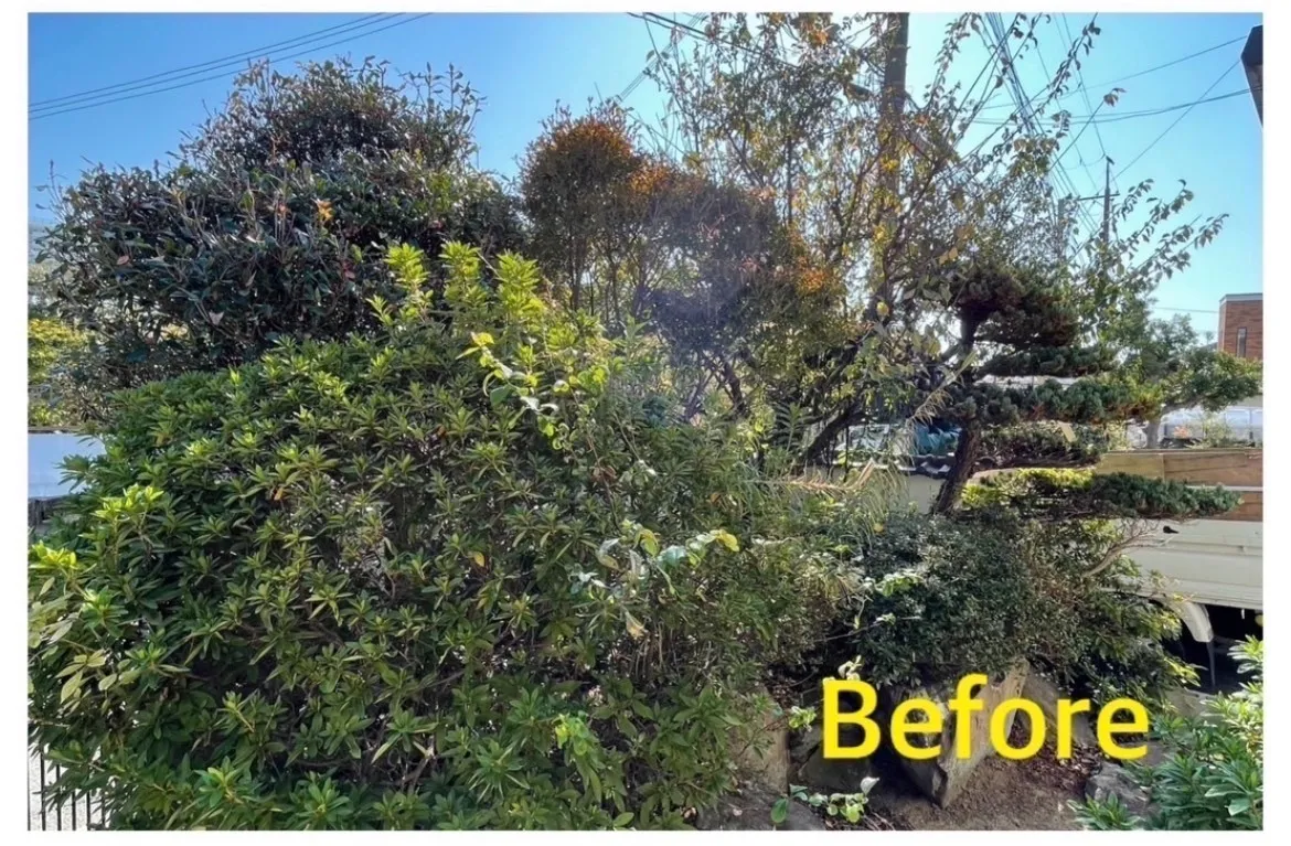 千葉県香取市にて、伸び放題だった庭木の剪定や消毒などの管理を行いました！