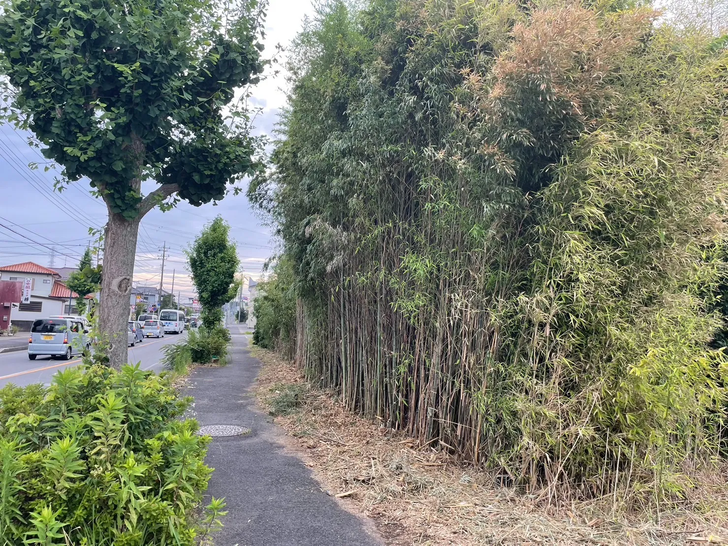 千葉県香取市で雑草の草刈りを行いました！