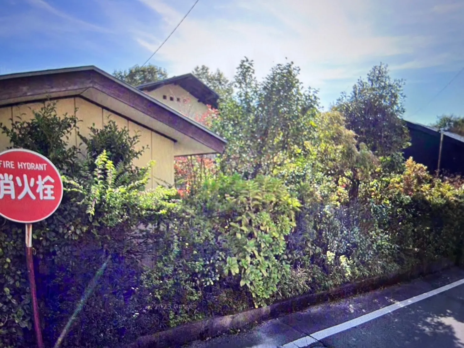 千葉県香取市にて庭木の伐採を行いました！