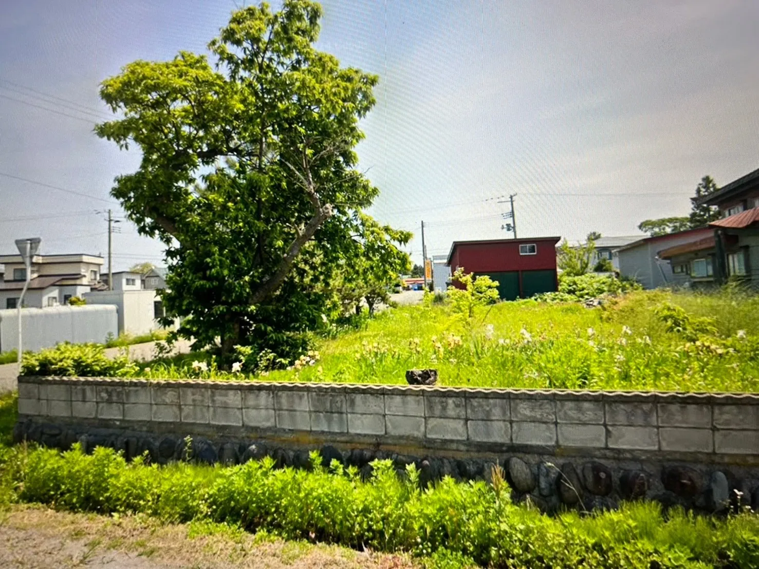 千葉県香取市にて庭木の伐採・消毒を行いました！