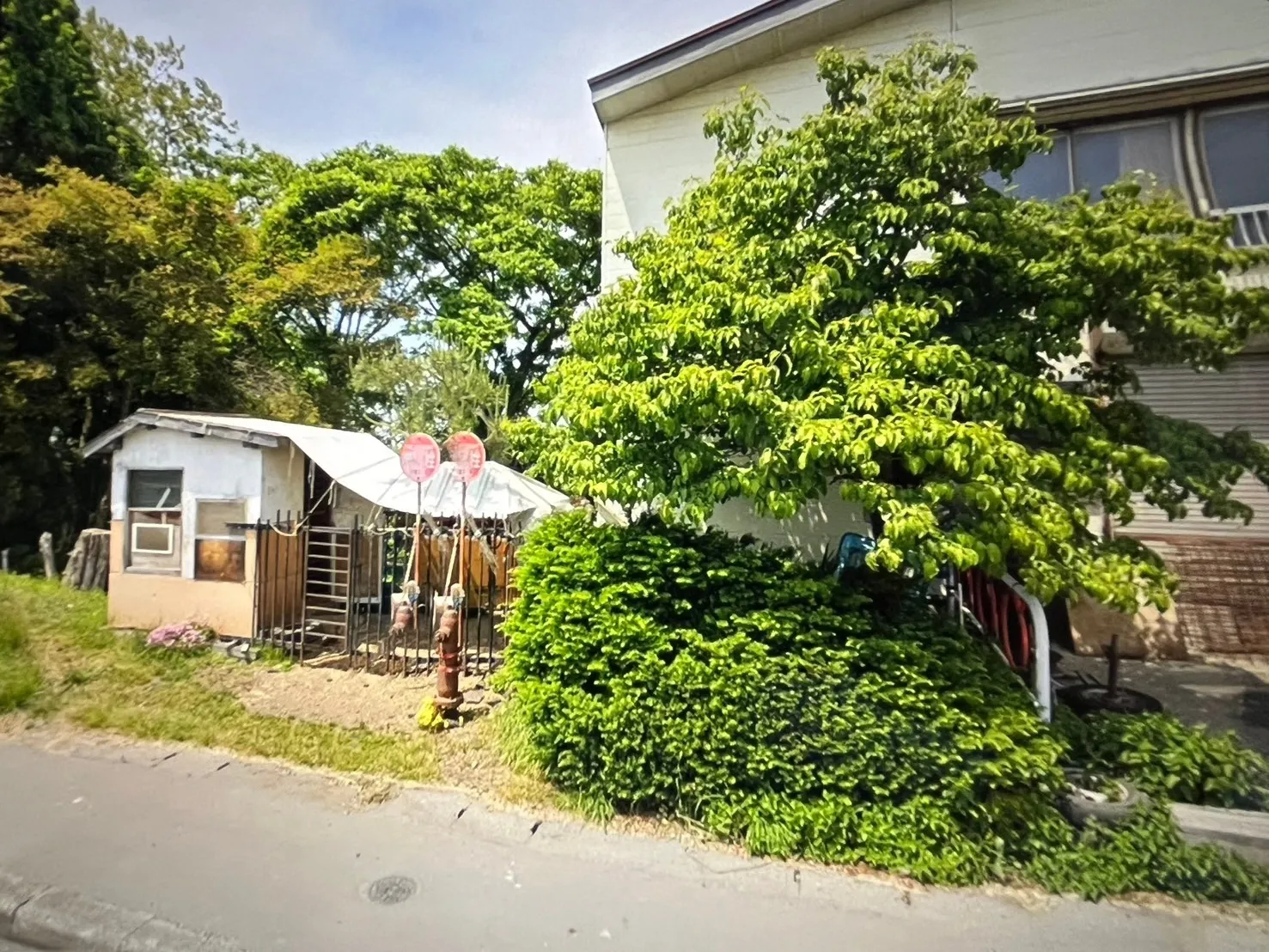 千葉県香取市にて庭木の伐採を行いました！