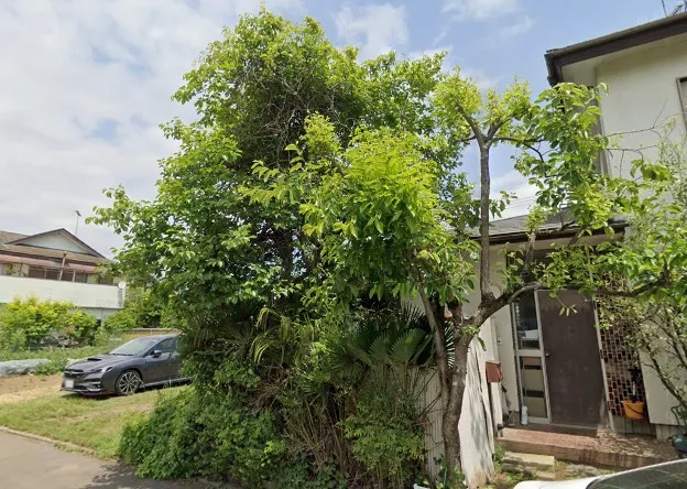 千葉県香取市にて庭木の伐採を行いました！
