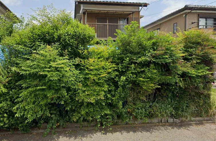 千葉県香取市にて庭木の伐採を行いました！