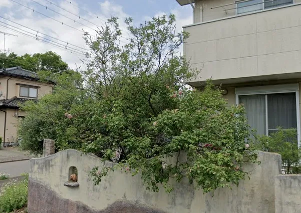 千葉県香取市にて庭木の伐採を行いました！