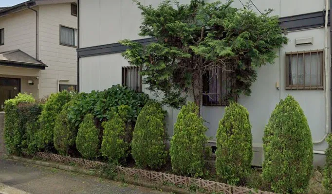 千葉県香取市にて庭木の伐採を行いました！