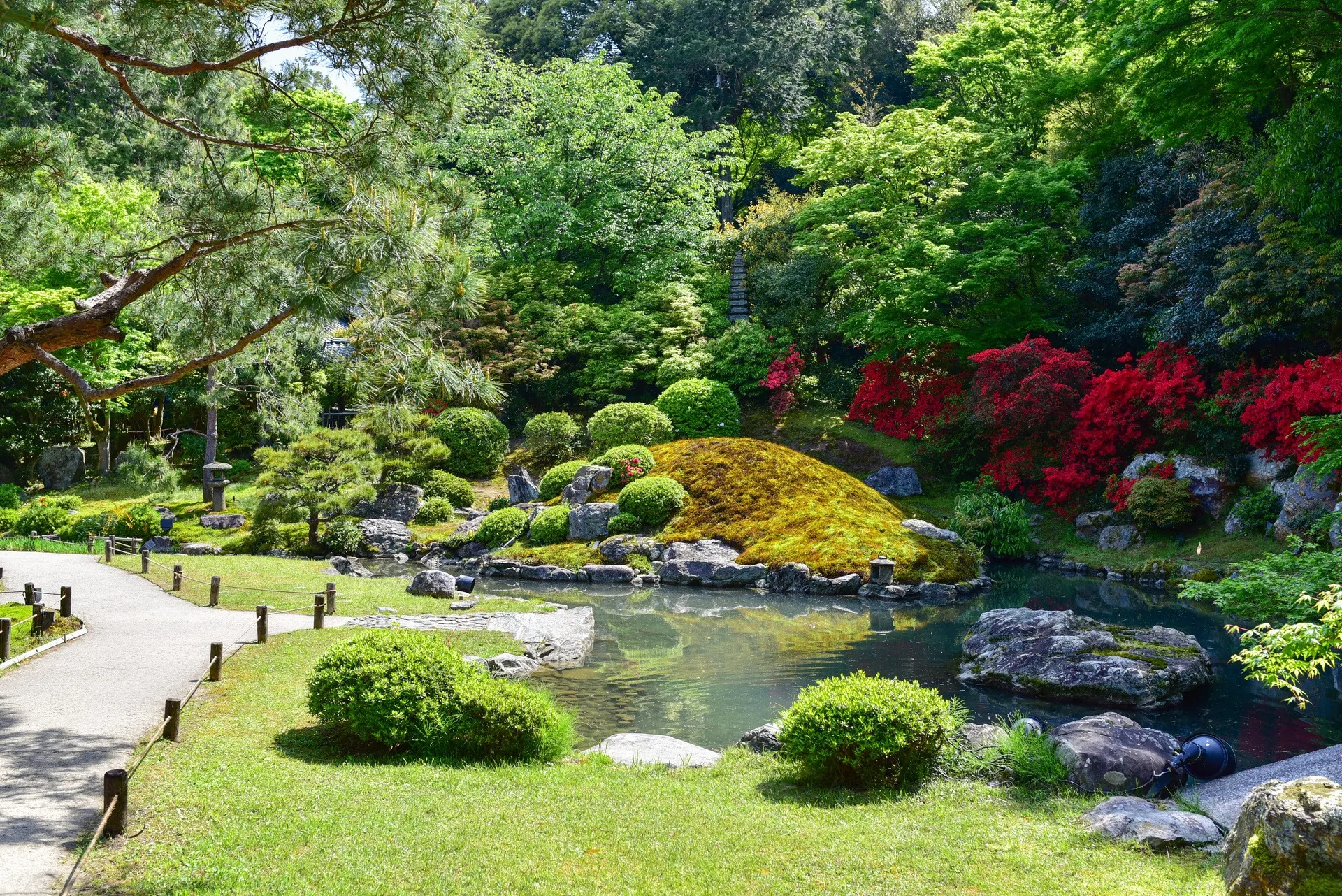 自然と働く植木の仕事