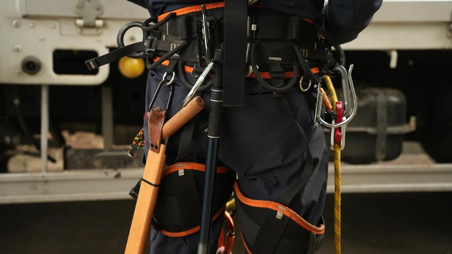 ホームページ用の写真撮影をしていただきました🙌