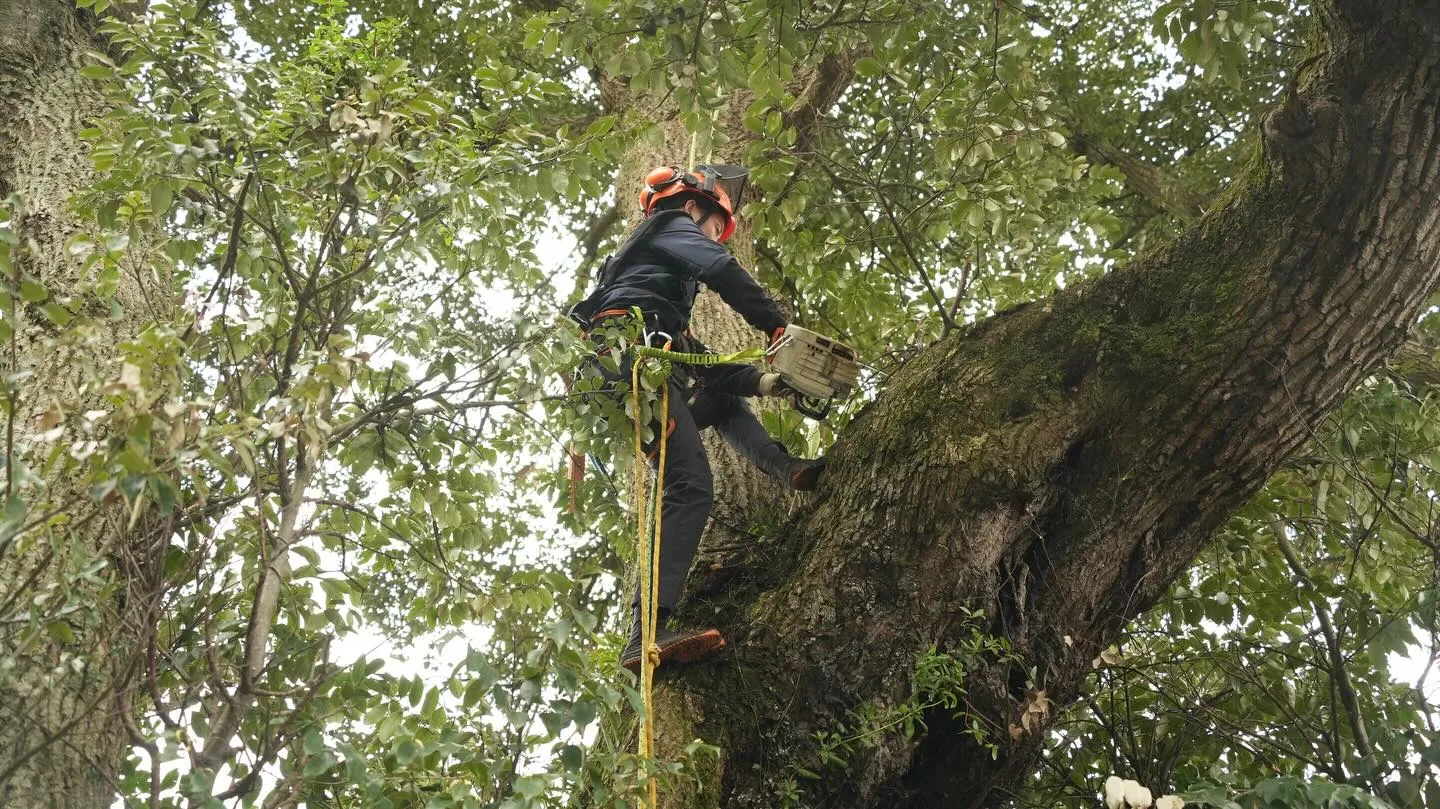 ホームページ用の写真撮影をしていただきました🙌