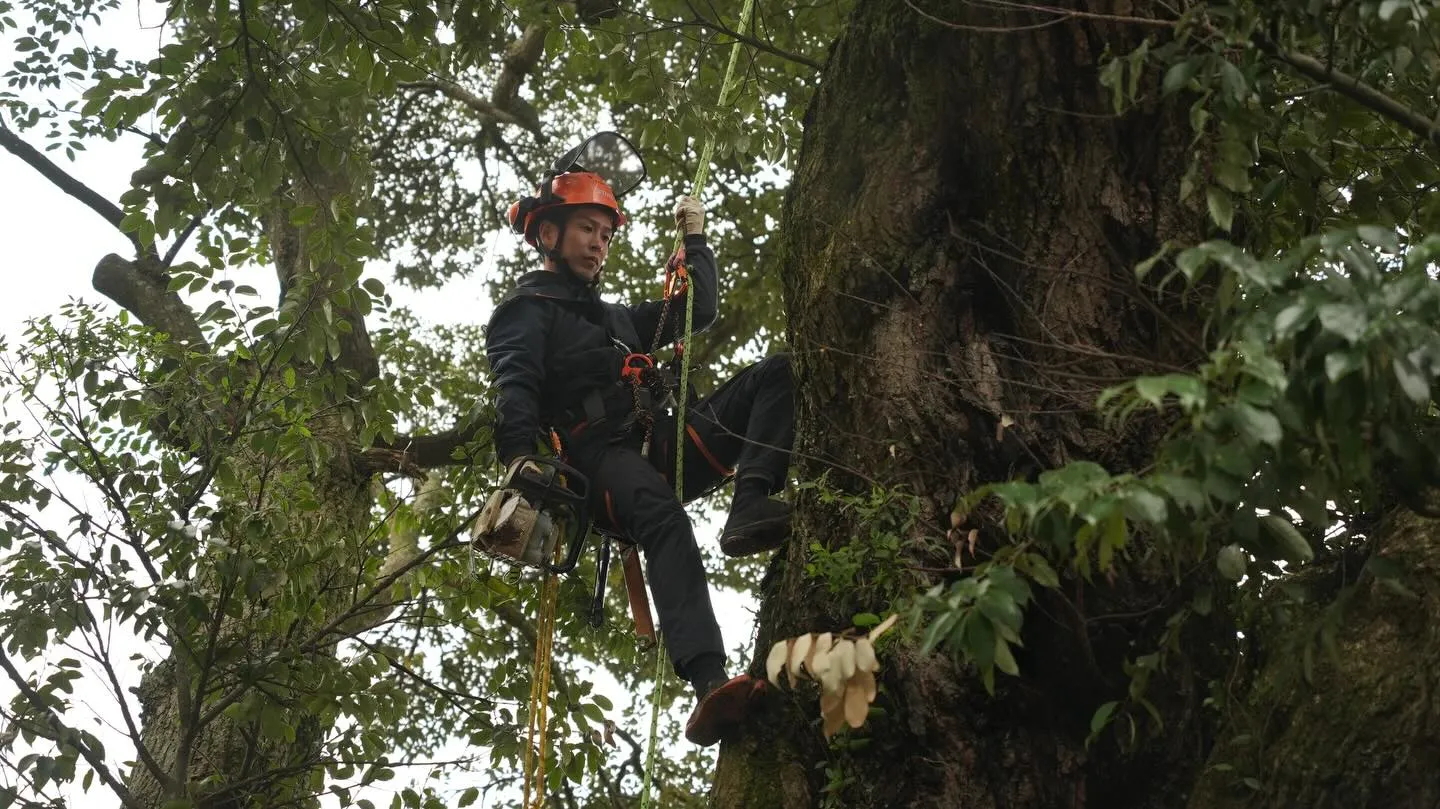 ホームページ用の写真撮影をしていただきました🙌