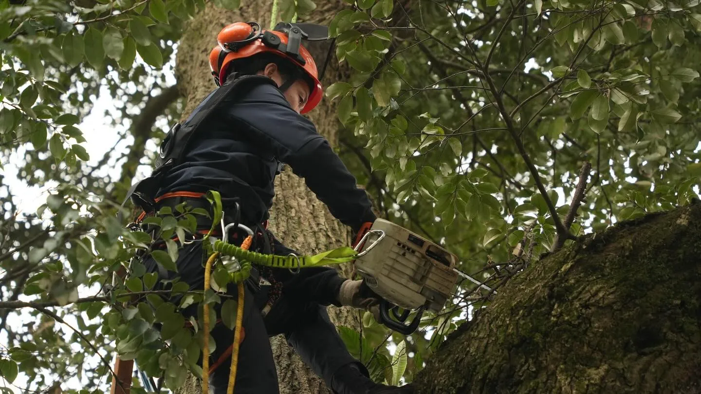 ホームページ用の写真撮影をしていただきました🙌