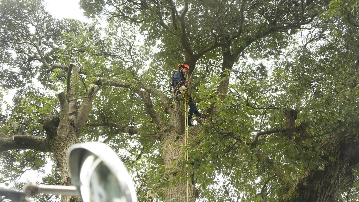 ホームページ用の写真撮影をしていただきました🙌