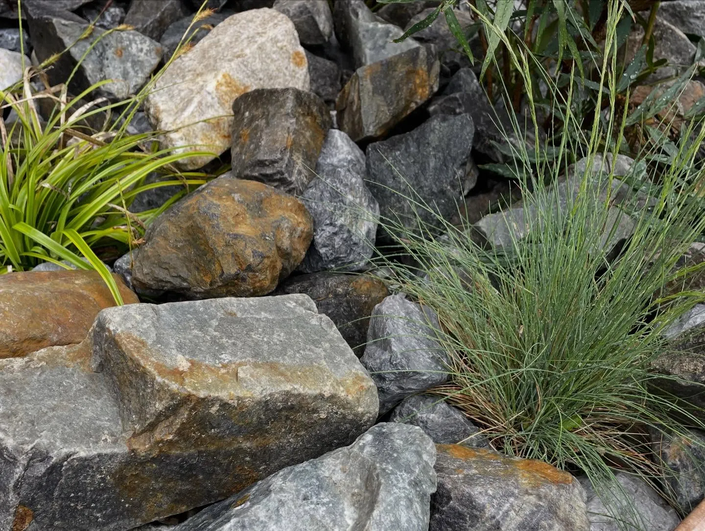 津田沼市にて庭木の植え替えと割グリ石を使ってお庭のリフォーム...