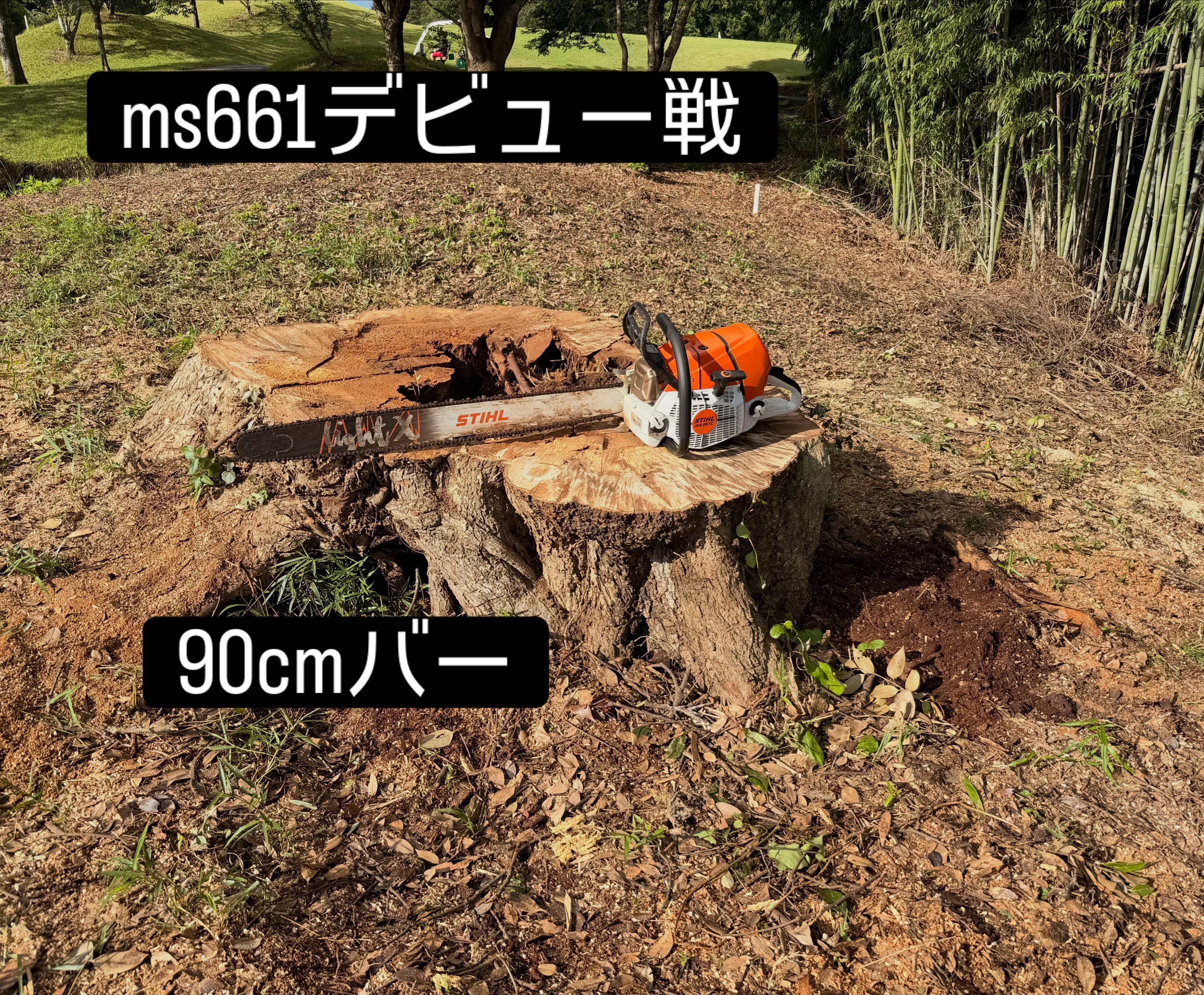 芝山町にて伐採作業