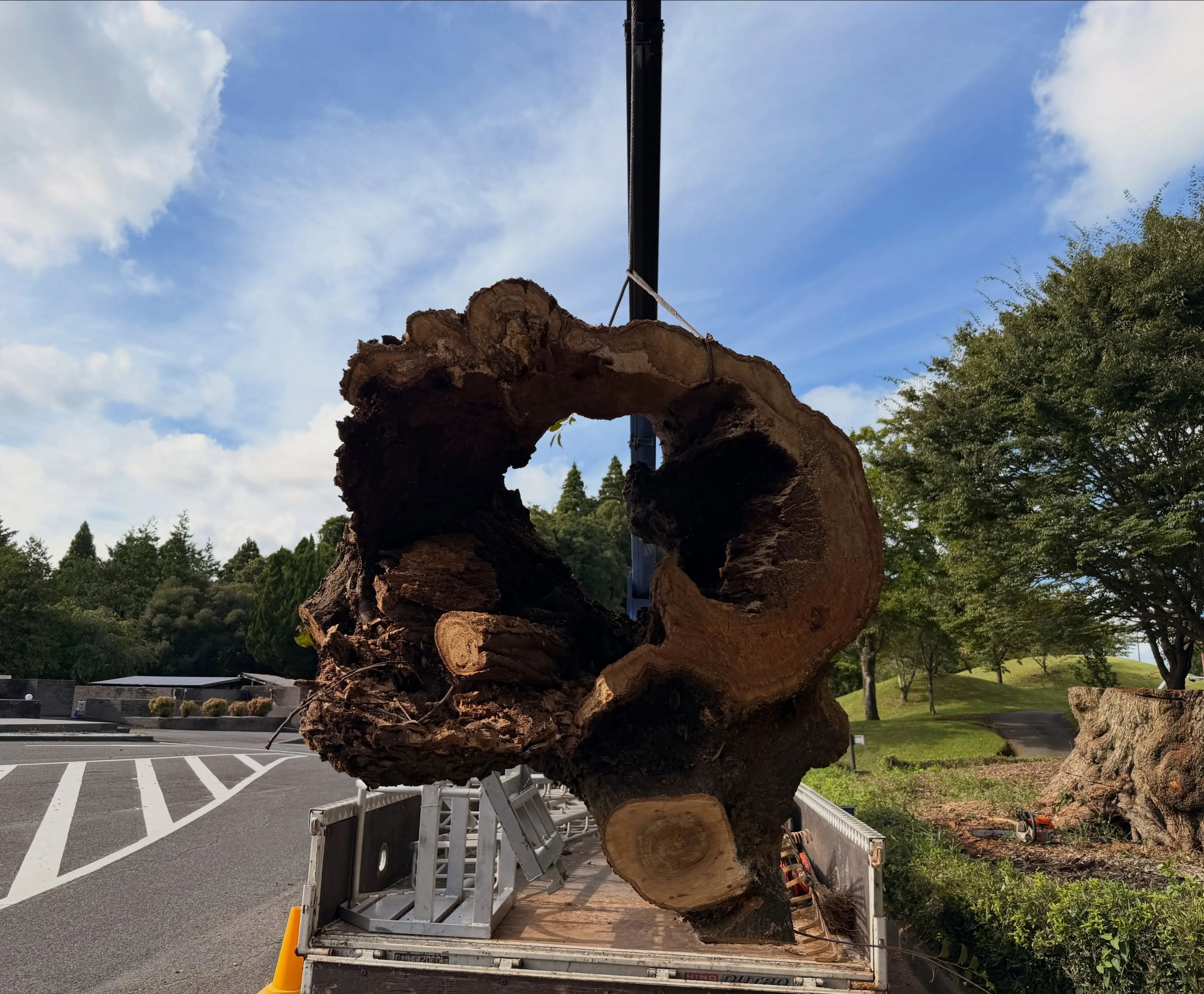 芝山町にて伐採作業
