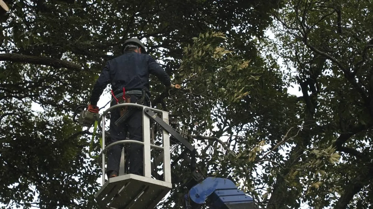 ともに緑の未来を創る専門技能職