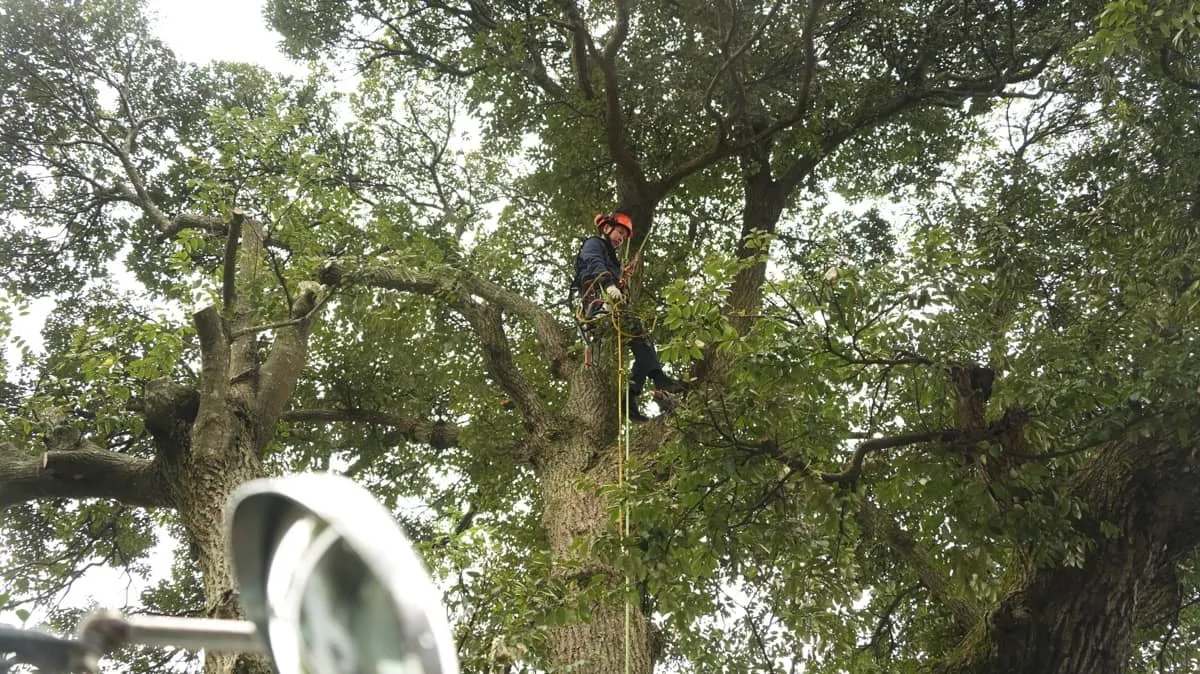 不安の解消に役立つご質問と回答